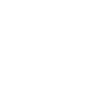 vehicle management icon