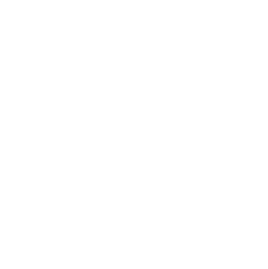 management reports icon