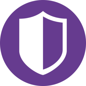 secure reports icon